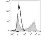 PE Anti-Mouse IL-2 Antibody[JES6-5H4]