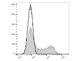 FITC Anti-Mouse IL-2 Antibody[JES6-5H4]