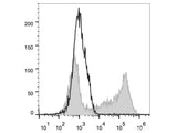 APC Anti-Mouse IL-2 Antibody[JES6-5H4]