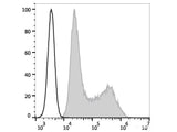 PE Anti-Human IL-4 Antibody[MP4-25D2]