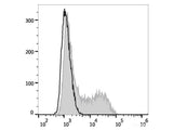 PE Anti-Mouse IL-4 Antibody[11B11]