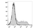 APC Anti-Mouse IL-4 Antibody[11B11]