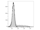 PE Anti-Human/Mouse IL-5 Antibody[TRFK5]