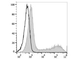 APC Anti-Human/Mouse IL-5 Antibody[TRFK5]