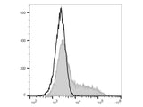 PE Anti-Human IL-6 Antibody[MQ2-13A5]