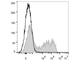 PE Anti-Mouse IL-6 Antibody[MP5-20F3]