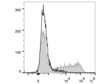 APC Anti-Mouse IL-6 Antibody[MP5-20F3]