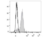 APC Anti-Rat CD45RA Antibody[OX-33]
