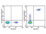 Purified Anti-Human CD20 Antibody[2H7]