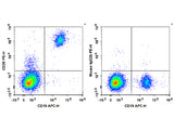 PE Anti-Human CD20 Antibody[2H7]