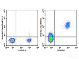 AF/LE Purified Anti-Human CD40 Antibody[G28.5]