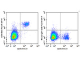 Biotin Anti-Human CD40 Antibody[G28.5]