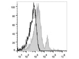 PE/Cyanine7 Anti-Human CD40 Antibody[G28.5]