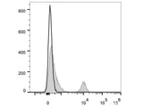 Elab Fluor® 647 Anti-Human CD40 Antibody[G28.5]