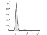 Elab Fluor® Red 780 Anti-Human CD40 Antibody[G28.5]