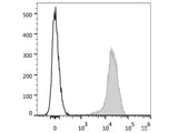 PE Anti-Human CD44 Antibody[Hermes-1]