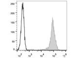 APC Anti-Human CD44 Antibody[Hermes-1]