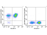 Elab Fluor® Violet 450 Anti-Human CD44 Antibody[Hermes-1]