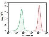 AF/LE Purified Anti-Mouse H-2 Antibody[M1/42]