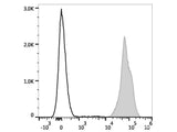 PE Anti-Mouse H-2 Antibody[M1/42]