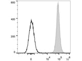 APC Anti-Mouse H-2 Antibody[M1/42]