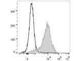 FITC Anti-Rat CD44H Antibody[OX-49]