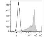 PE Anti-Rat CD44H Antibody[OX-49]