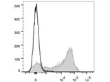 APC Anti-Rat CD44H Antibody[OX-49]