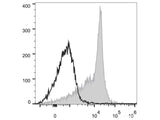 PerCP/Cyanine5.5 Anti-Rat CD44H Antibody[OX-49]