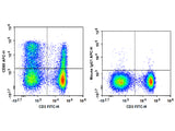 APC Anti-Rat CD90/Mouse CD90.1 Antibody[OX-7]