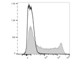 PE/Cyanine7 Anti-Rat CD90/Mouse CD90.1 Antibody[OX-7]