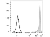 PE Anti-Rat CD90/Mouse CD90.1 Antibody[OX-7]