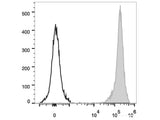 PerCP/Cyanine5.5 Anti-Rat CD90/Mouse CD90.1 Antibody[OX-7]