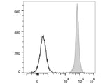 FITC Anti-Rat CD45 Antibody[OX-1]