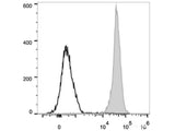 PE Anti-Rat CD45 Antibody[OX-1]