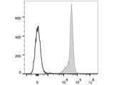 APC Anti-Rat CD45 Antibody[OX-1]