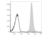 PE/Cyanine7 Anti-Rat CD45 Antibody[OX-1]