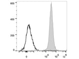 PerCP/Cyanine5.5 Anti-Rat CD45 Antibody[OX-1]