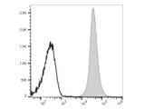 PE/Cyanine7 Anti-Rat CD45 Antibody[OX-1]