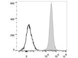 PerCP/Cyanine5.5 Anti-Rat CD45 Antibody[OX-1]