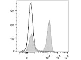 FITC Anti-Rat CD3 Antibody[G4.18]