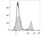 PE Anti-Rat CD3 Antibody[G4.18]