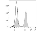 FITC Anti-Rat CD3 Antibody[G4.18]