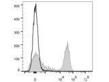 APC Anti-Rat CD3 Antibody[G4.18]