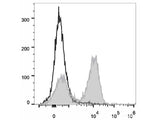 PerCP/Cyanine5.5 Anti-Rat CD3 Antibody[G4.18]