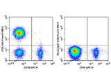 Elab Fluor® 488 Anti-Human CD3 Antibody[UCHT1]