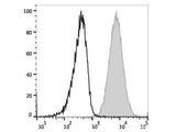 PE Anti-Human CD80 Antibody[2D10]