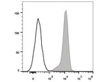 APC Anti-Human CD80 Antibody[2D10]