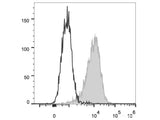 PE/Cyanine7 Anti-Human CD80 Antibody[2D10]