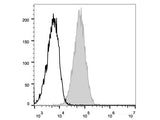 APC Anti-Mouse CD105 Antibody[MJ7/18]